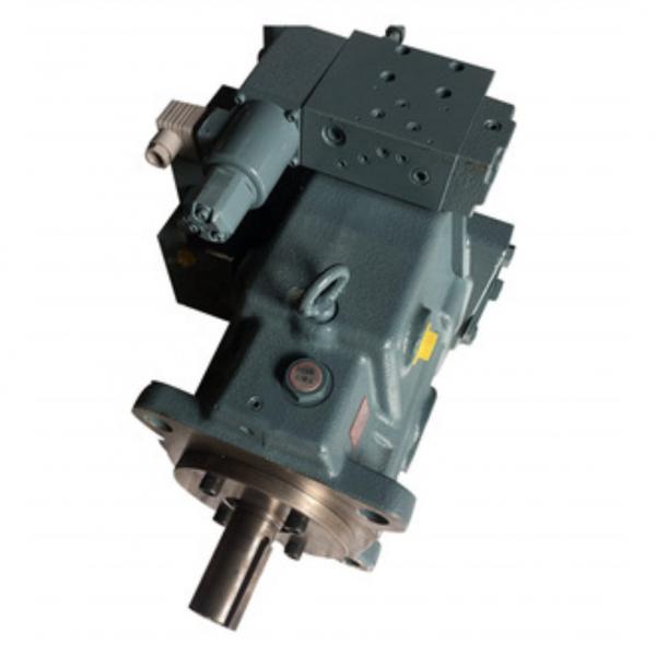 Yuken A145-F-R-04-H-S-60 Piston pump #2 image