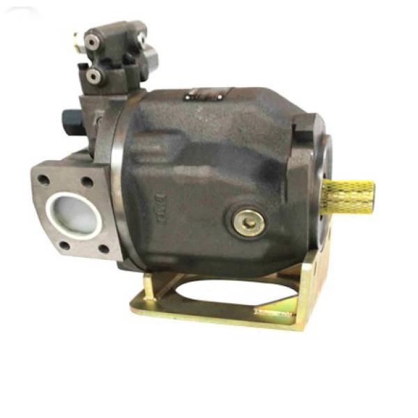 PAKER F12-080-MS-SN-T-000-000-0 Piston Pump #2 image